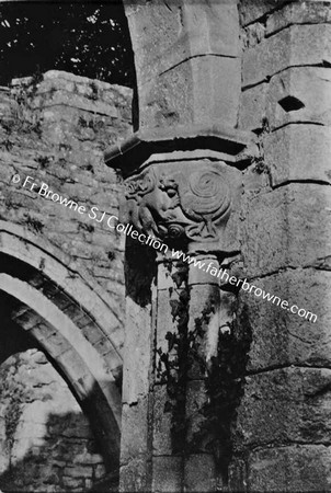 BOYLE ABBEY  COCK FIGHT CAPITAL